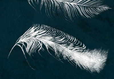 Wall Murals with white feathers on dark blue background, 142640 G-ART