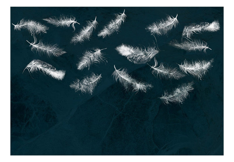 Фотообои с белыми перьями на темно-синем фоне, 142640 G-ART