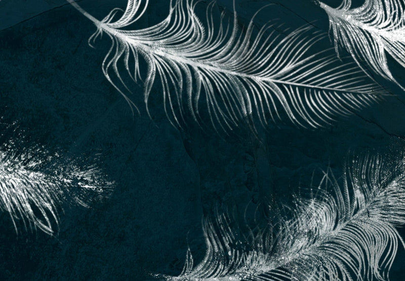 Wall Murals with white feathers on dark blue background, 142640 G-ART