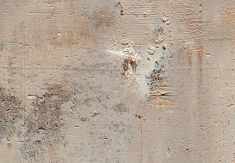 Fototapetes ar betona rakstu - Matērijas vieglums, 138770 G-ART