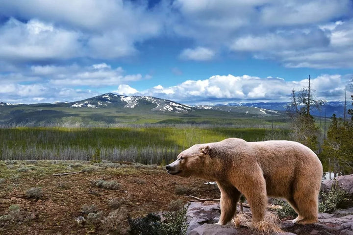Fototapetes ar dabu - Ainava ar lāci, zilā krāsā D-ART
