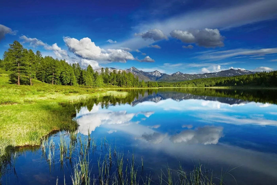 Fototapetes ar dabu - Altai kalnu ezers, zilā, zaļā krāsā D-ART