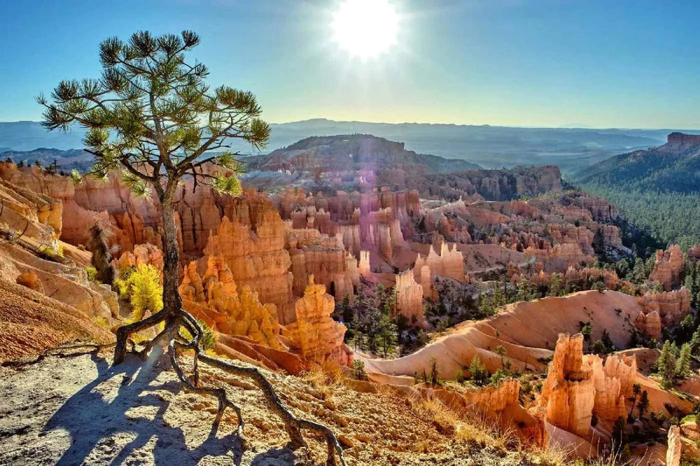 Fototapetes ar dabu - Braisa kanjona nacionālais parks, zila D-ART