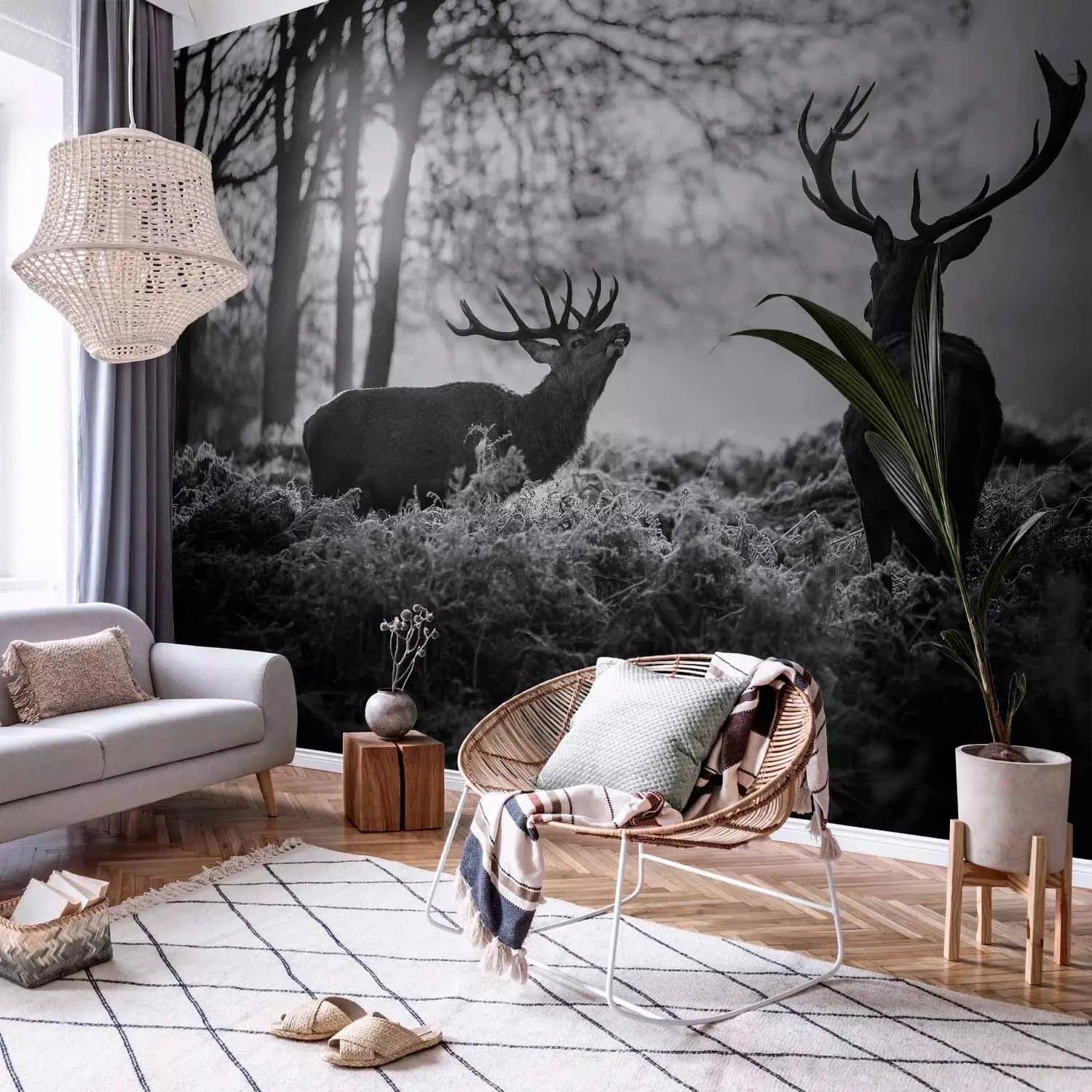 Fototapetes ar dabu - Brieži rīta agrumā - melnbalta versija G-ART