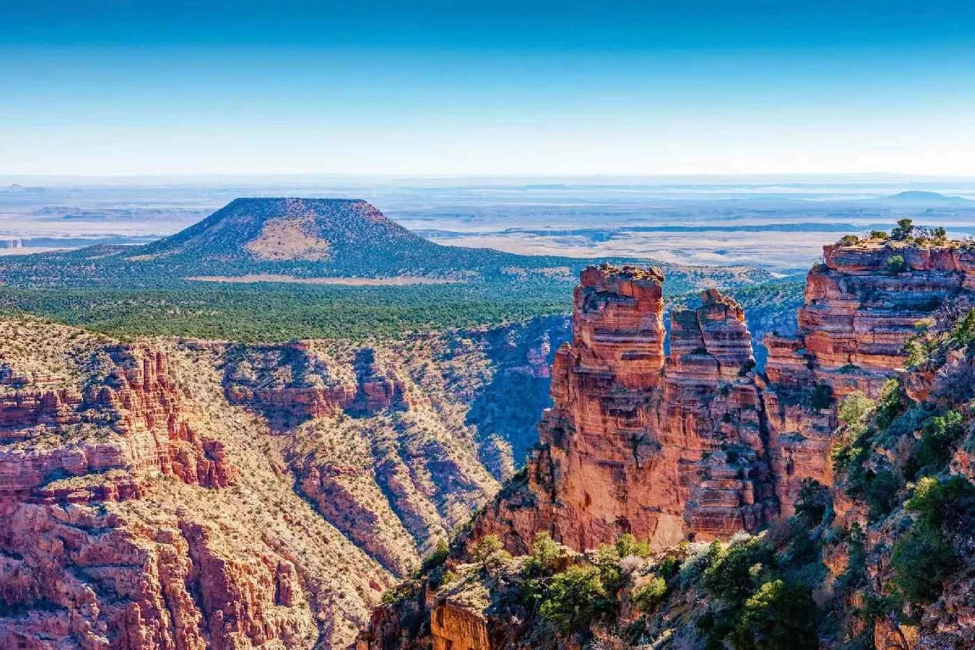 Fototapetes ar dabu - Cedar Mountain Arizonā, zila D-ART