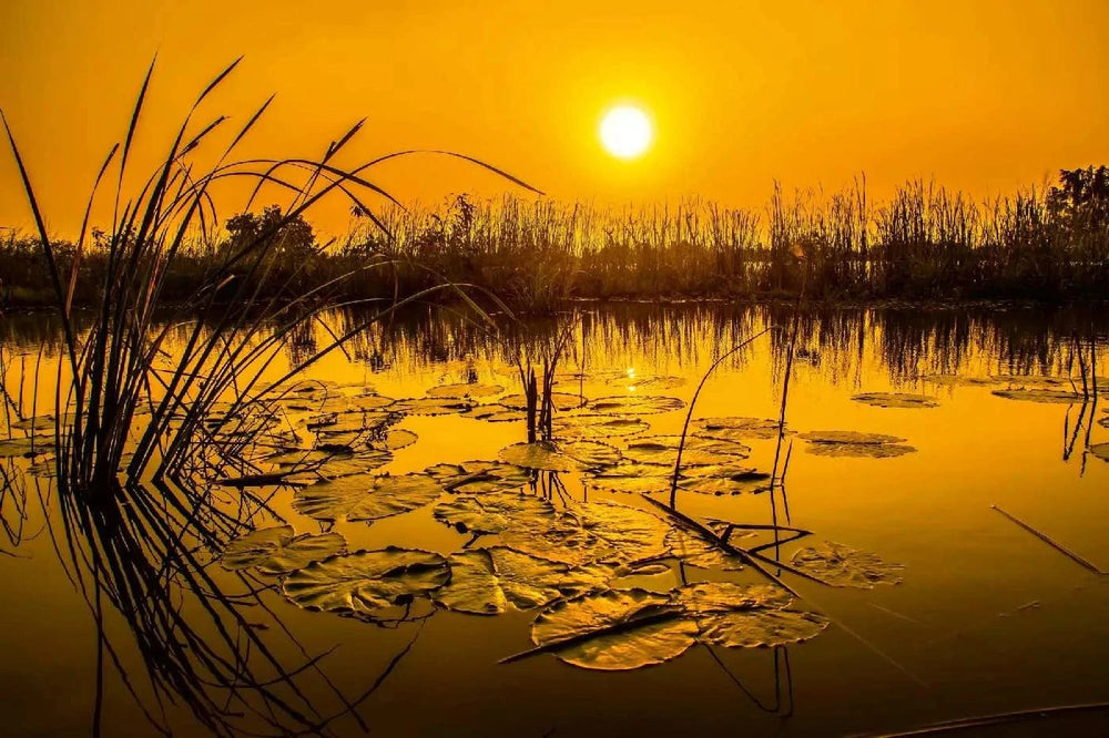 Fototapetes ar dabu - Ezers Taizemē, oranžā toņos D-ART