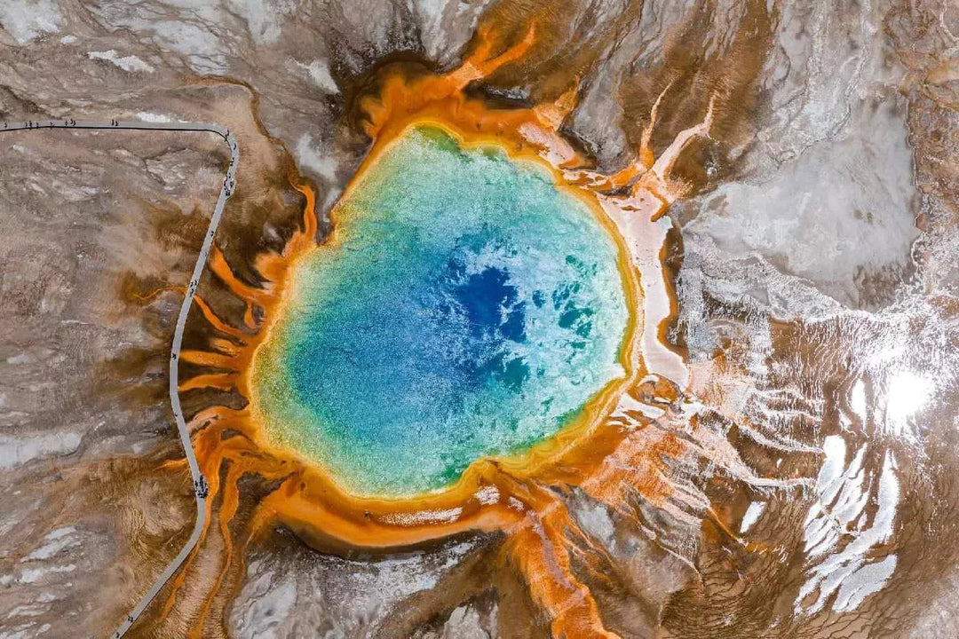 Fototapetes ar dabu - Grand Spring, zaļā krāsā D-ART