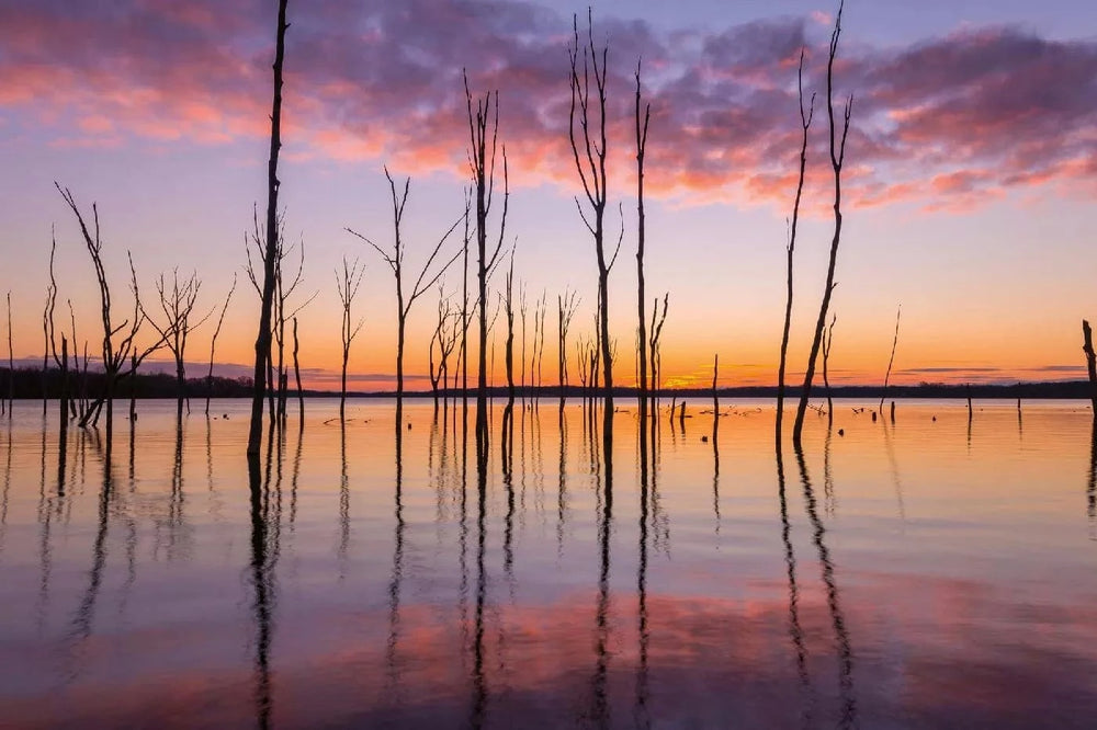 Fototapetes ar dabu - Manasquan ūdenskrātuve, violetos toņos D-ART