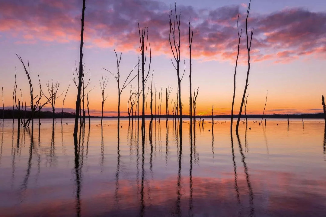 Fototapetes ar dabu - Manasquan ūdenskrātuve, violetos toņos D-ART