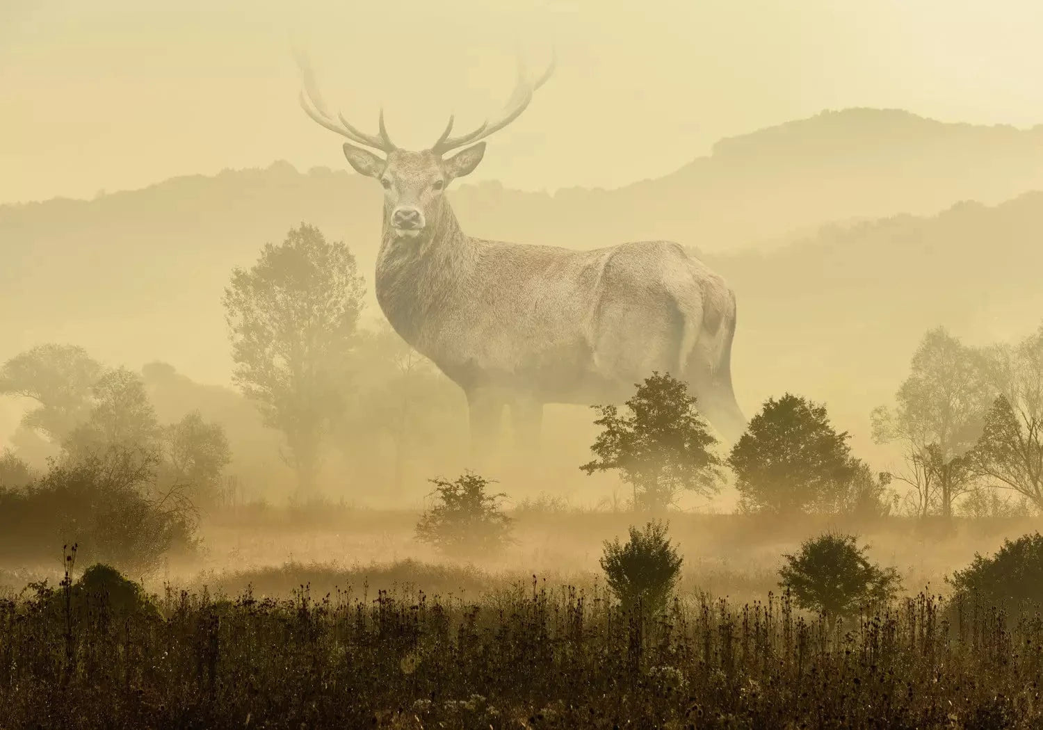 Fototapetes ar dabu - Milzīgs briedis - dzeltenos toņos G-ART