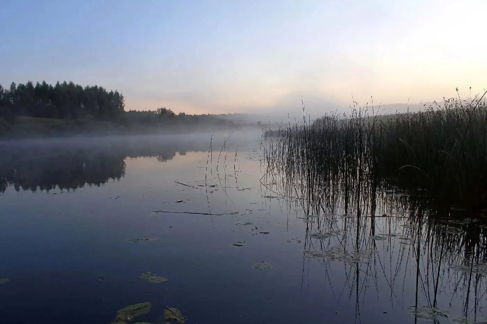 Fototapetes ar dabu - Upe pirms rītausmas miglā, zilos toņos D-ART