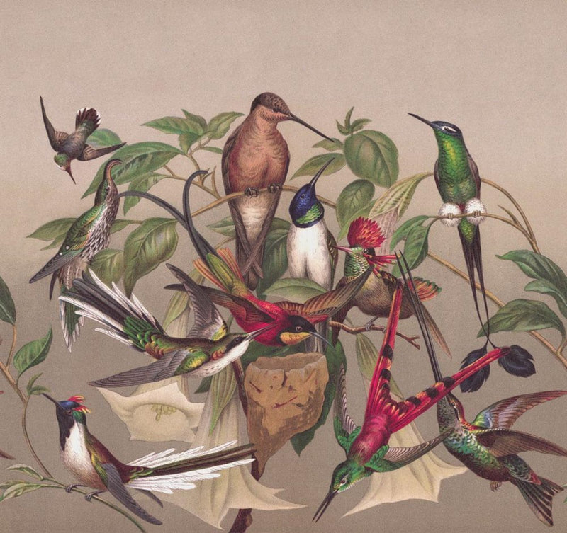 Фотообои с экзотическими птицами, коричневый, зеленый, RASCH, 2045520, 318x300 см RASCH