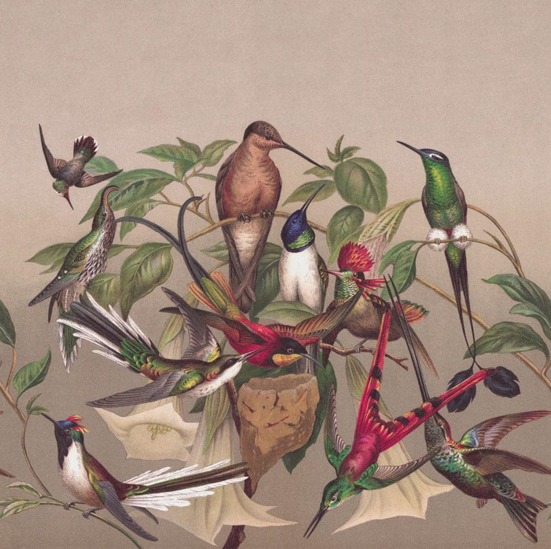 Wall Murals with exotic birds, brown, green, RASCH, 2045527, 265x265 cm RASCH