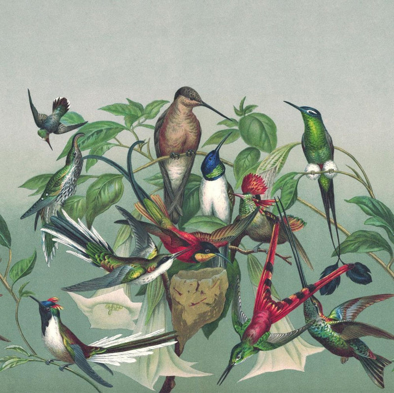 Fototapetai su egzotiniais paukščiais, žalia, RASCH, 2045477, 265x265 cm RASCH