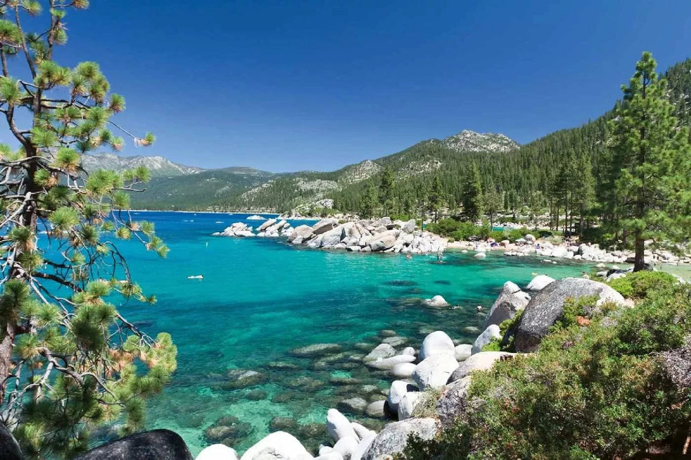 Fototapetes ar tropisko skatu - Tahoe ezers ar kalniem un mežu D-ART