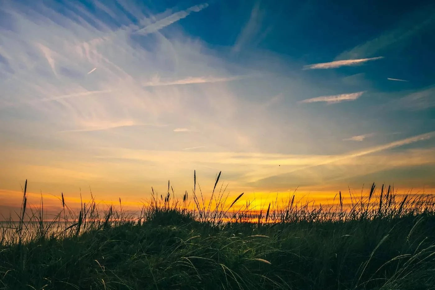 Fototapetes ar jūras skatu - Jūra Nīderlandē, zila, oranža D-ART