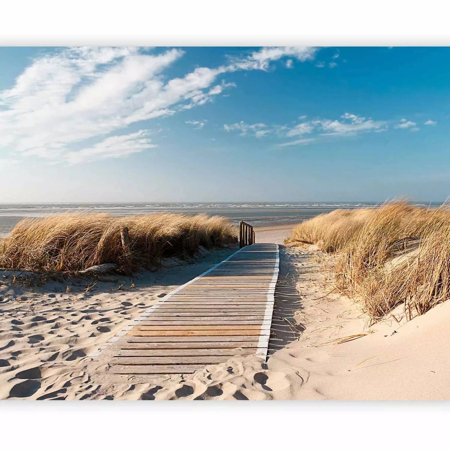 Fototapetes ar jūru - Ziemeļjūras pludmale - dabas skaistums G-ART