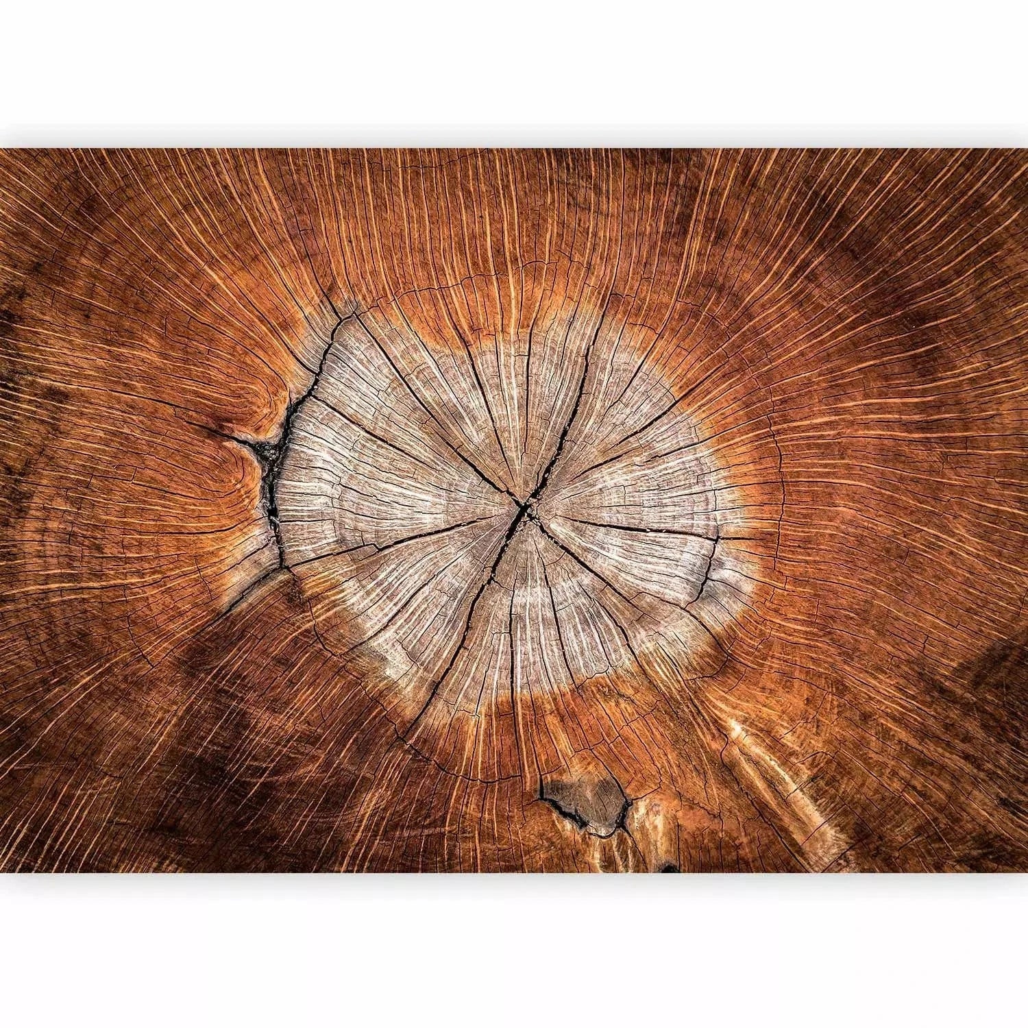 Fototapetes ar koka serdeni brūnos toņos - uz pasūtījumu G-ART