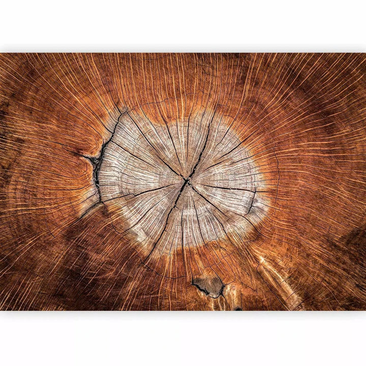 Fototapetes ar koka serdeni brūnos toņos - uz pasūtījumu G-ART