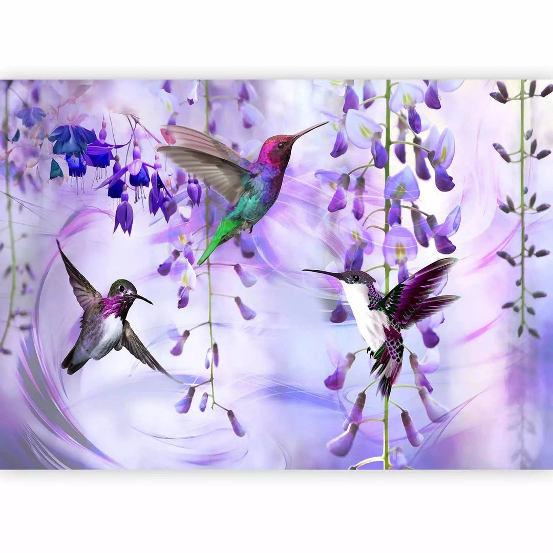 Fototapetes - Lidojoši kolibri starp ziediem violetā krāsā G-ART