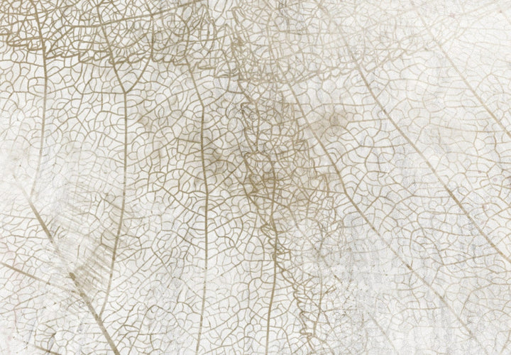 Fototapetes ar lapas zīmējumu gaišos toņos, krēmkrāsā, 143012 G-ART