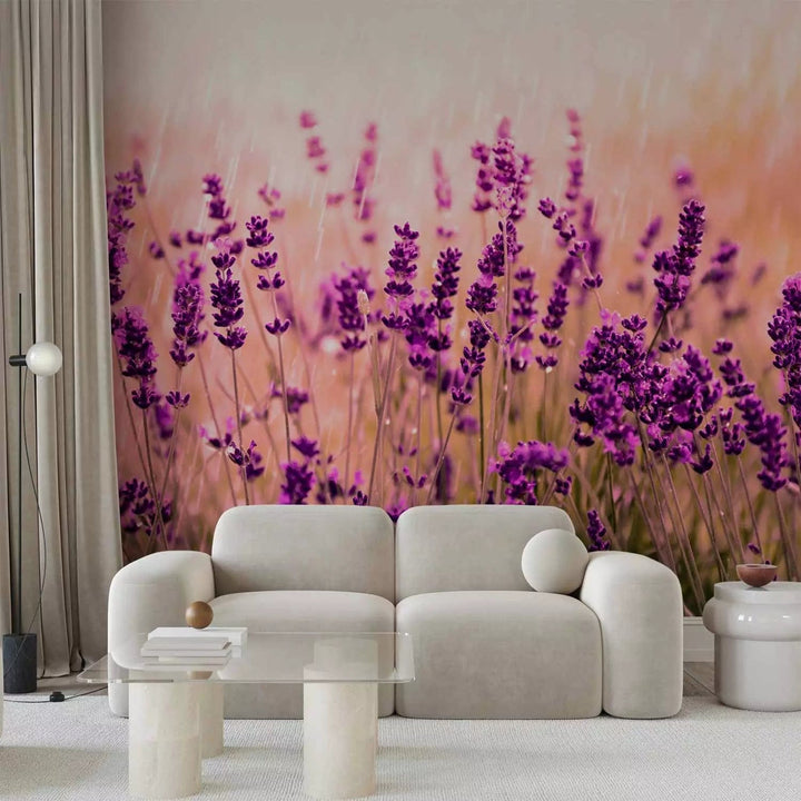 Fototapetes - Lavanda - pļavas ainava ar ziediem un neskaidru fonu  G-ART