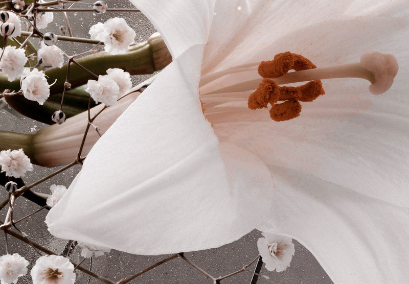 Fototapetes ar lilijām - Pavasara aromāts, 132225 G-ART