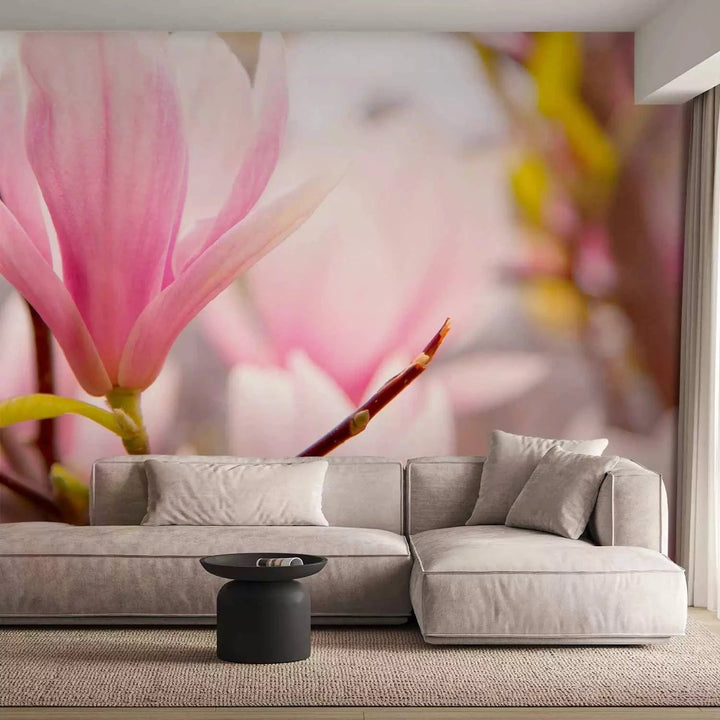 Fototapetes ar magnoliju - magnolijas ziedi tuvplānā, 60413 G-ART