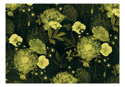 Fototapetai su aguonomis - Nakties pabudimas, žalia,143175 G-ART