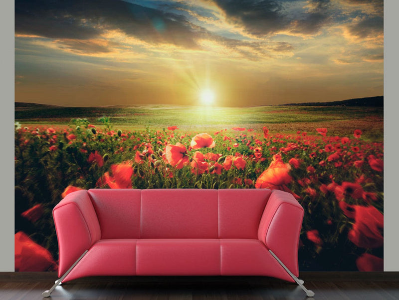 Wall Murals with poppies - Morning on a poppy meadow, 60642 G-ART