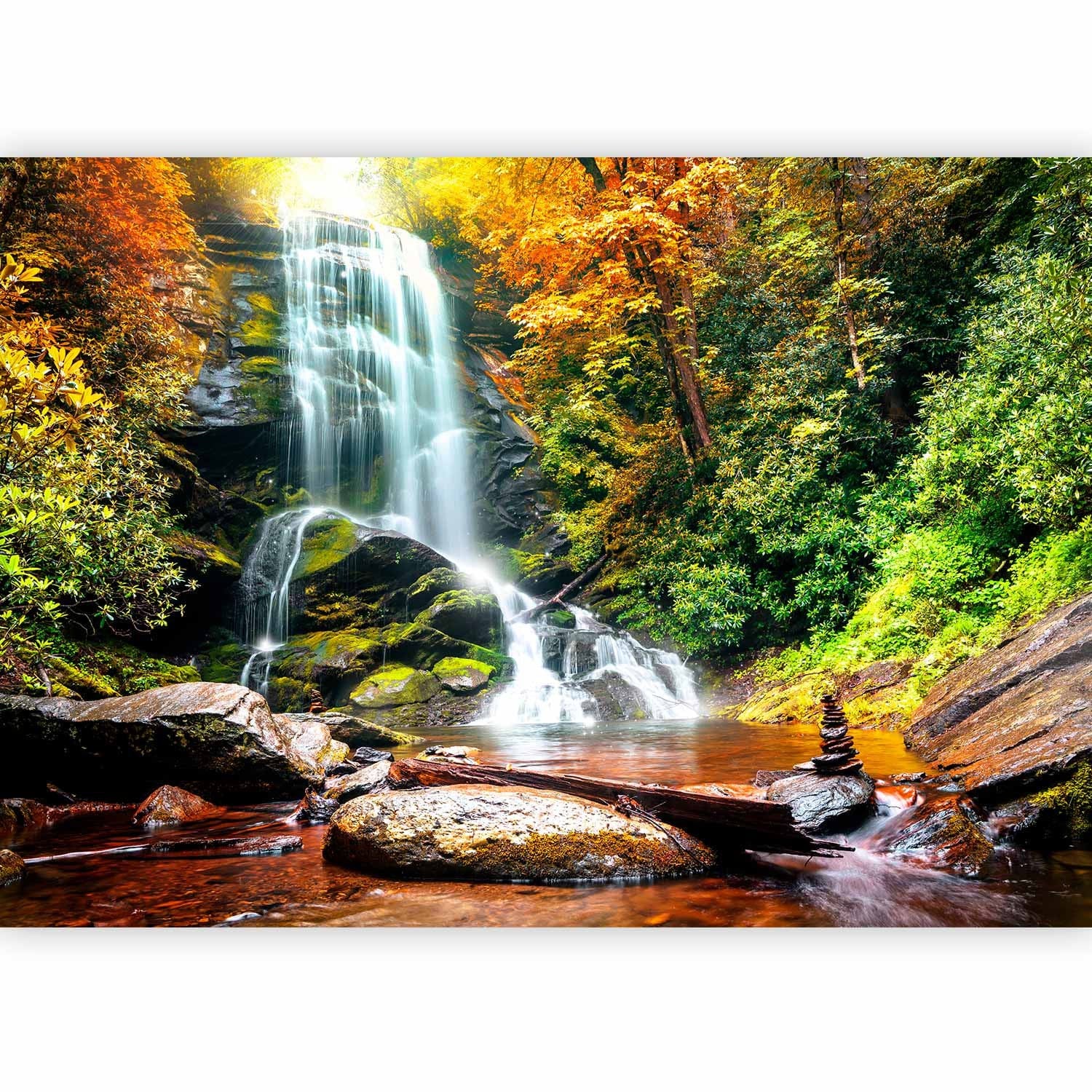 Fototapetes ar meža ūdenskritumu - Satriecošs dabas brīnums - 60093  G-ART