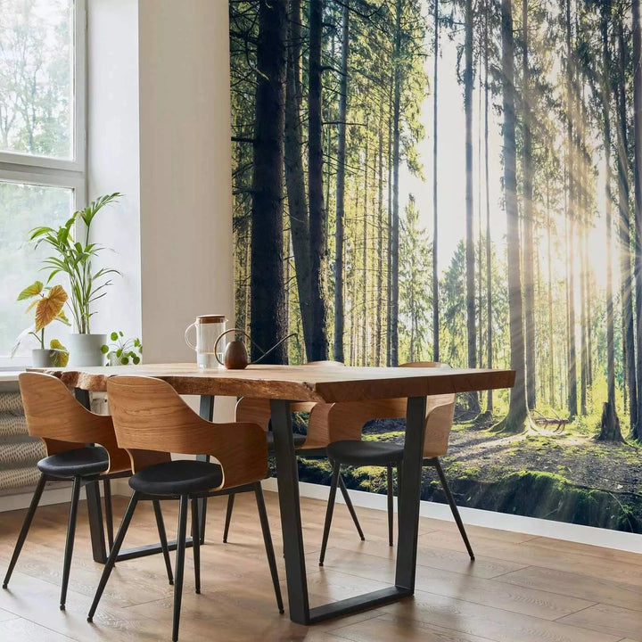 Fototapetes ar mežu - Pastaiga mežā, dabiskā zaļā krāsā G-ART