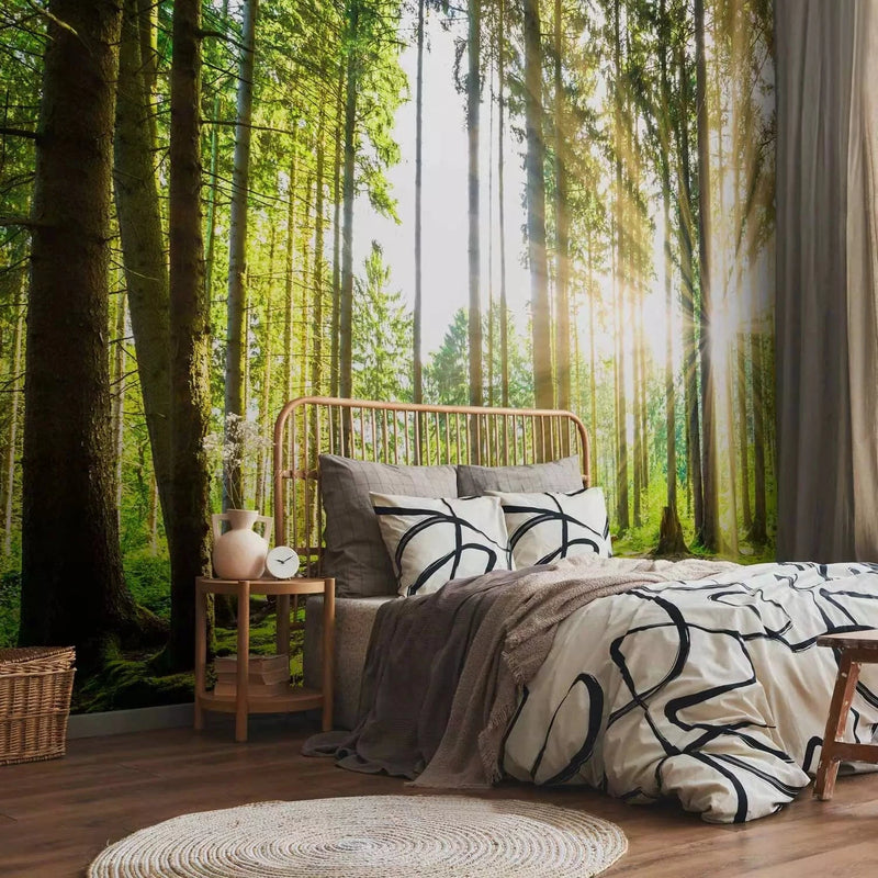 Wall Murals with forest in green - A forest fairy tale - for living room G-ART
