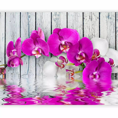 Wall Murals with orchids - Purple orchids, 60186 G-ART