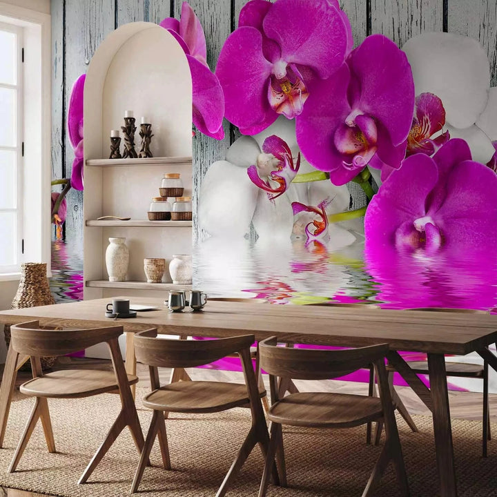 Fototapetes ar orhidejām - Violetas orhidejas, 60186 G-ART