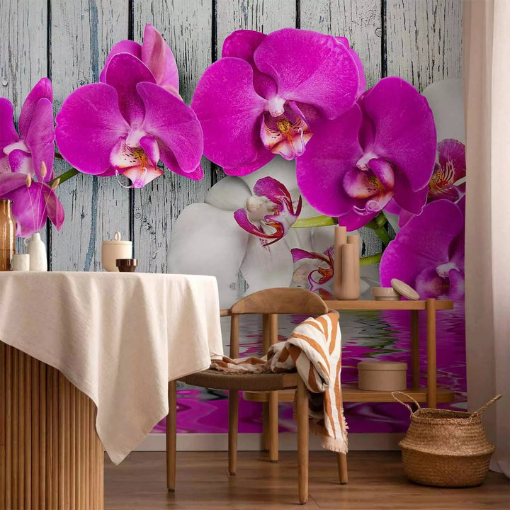 Fototapetes ar orhidejām - Violetas orhidejas, 60186 G-ART
