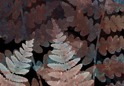 Fototapetai su paparčio lapais - Paparčiai miške, 143047 G-ART