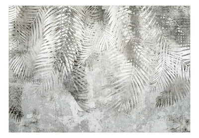 Wall Murals with fern leaves in grey - Light and shadow, 142880 G-ART