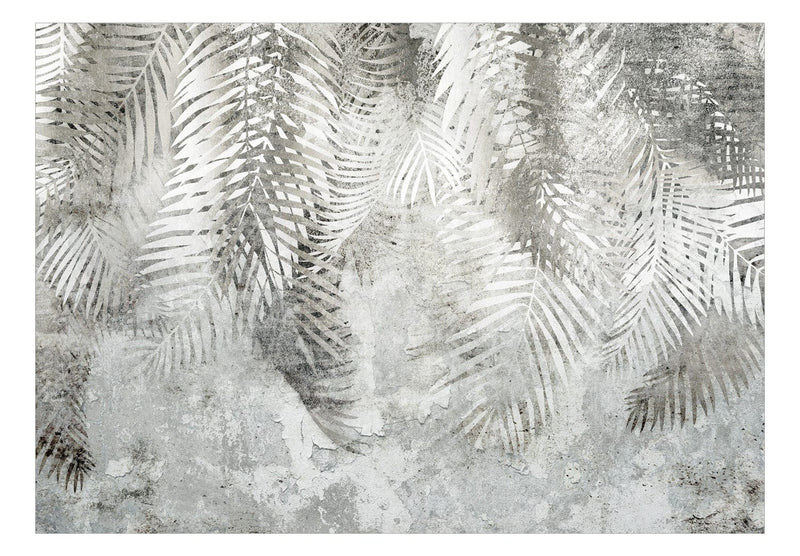 Фотообои с листьями папоротника в сером цвете - Свет и тень, 142880 G-ART