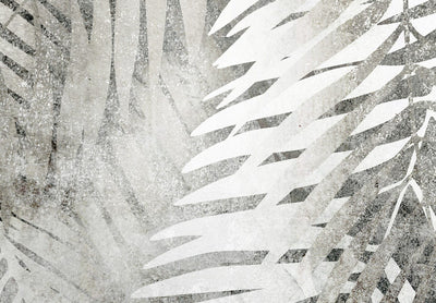 Wall Murals with fern leaves in grey - Light and shadow, 142880 G-ART