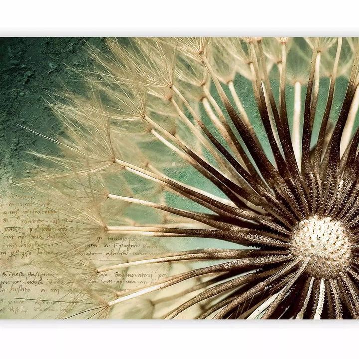 Fototapetes ar pienenēm - Pienene tuvplānā, ar uzrakstiem G-ART