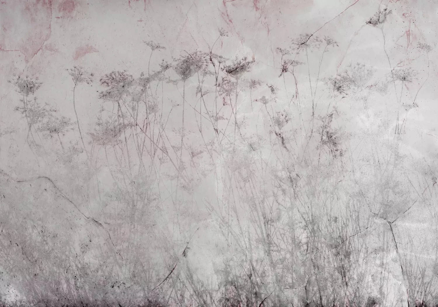 Fototapetes ar pļavas ziediem rozā toņos - Vasara - rozā, pelēkā G-ART