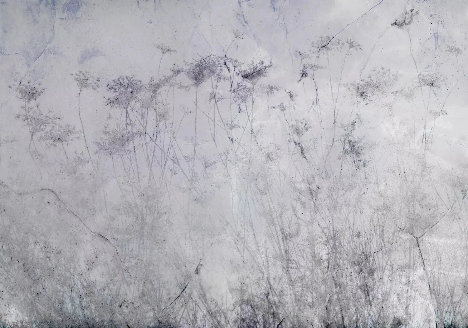 Fototapetes ar pļavas ziediem - Vasara pļava (violetos toņos) G-ART