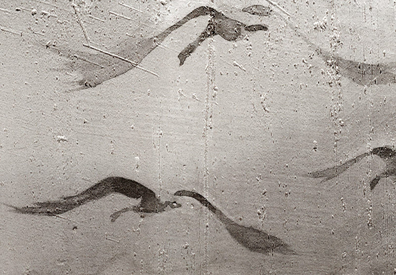 Wall Murals with birds - Swan in flight, 142882 G-ART