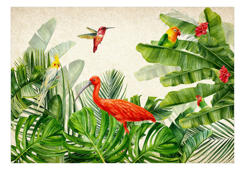Wall Murals with birds - Birds of the Tropics (Option 2), 146342 G-ART