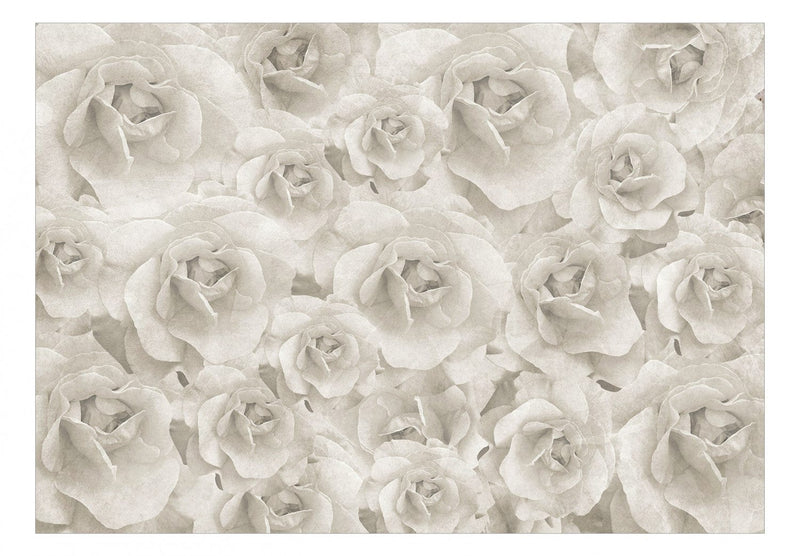 Fototapetes ar rozēm - Dabas skaistums, 143819 G-ART