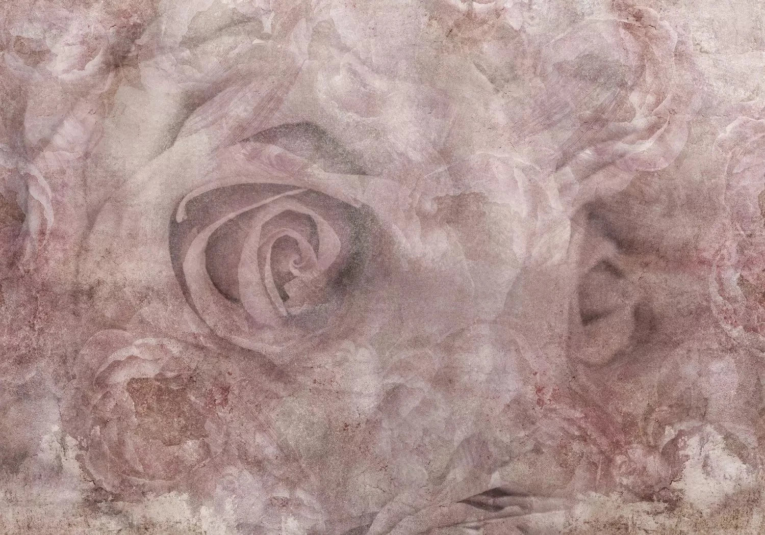 Fototapetes ar rozēm maigos rozā toņos, vintāžas stilā - 135490 G-ART