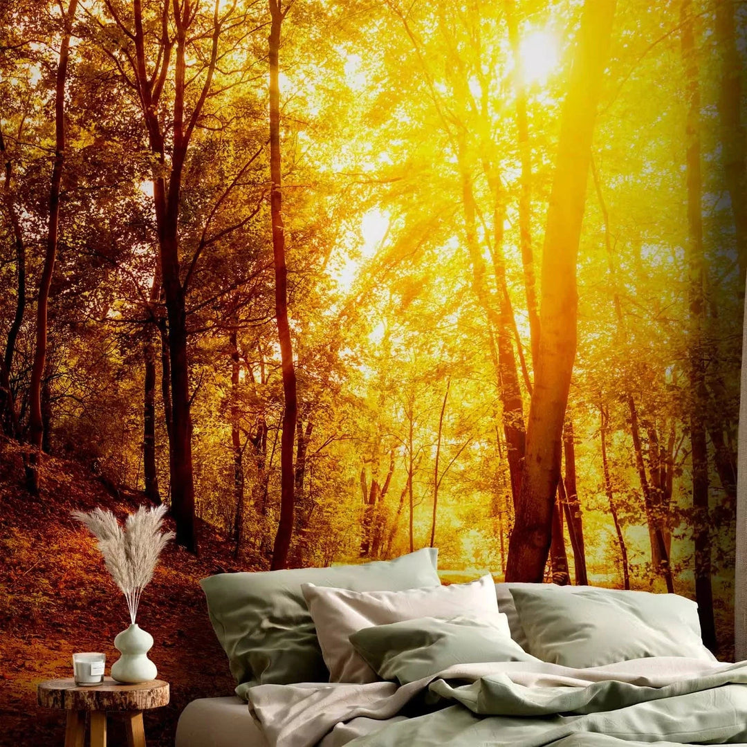 Fototapetes ar rudens mežu - Rudens pastaiga - rudens krāsās G-ART