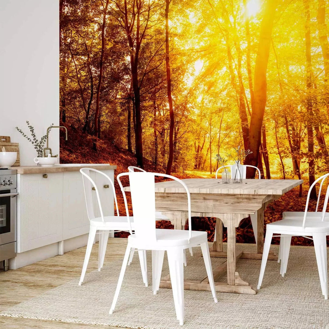 Fototapetes ar rudens mežu - Rudens pastaiga - rudens krāsās G-ART