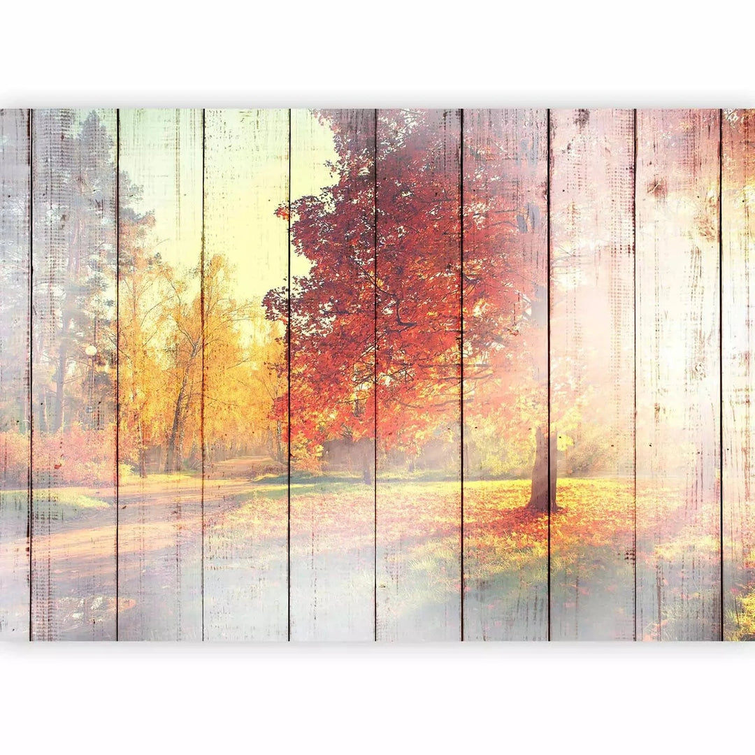 Fototapetes ar rudens mežu - Rudens Saule, rudens krāsās G-ART